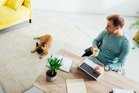 From Office to Home: Employment Law in a Hybrid World