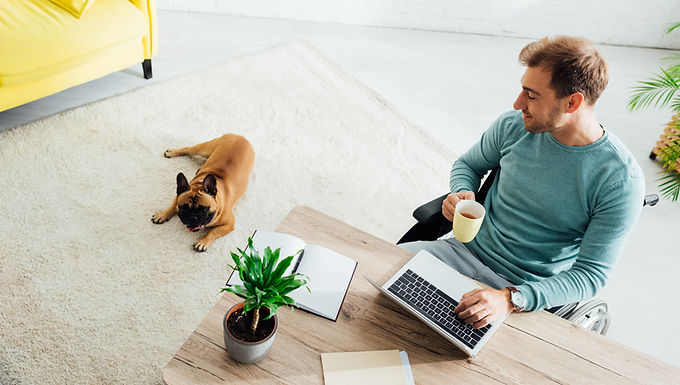 Pet Business Management Courses & Qualifications
