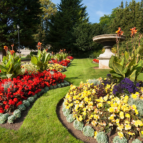 View of landscaped garden with lawn and plants