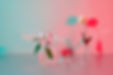 Flowers and Tranparency