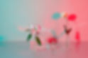 Flowers and Tranparency