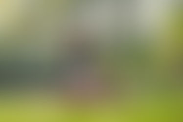 05 dicas de como se divertir no fim de semana sem gastar muito