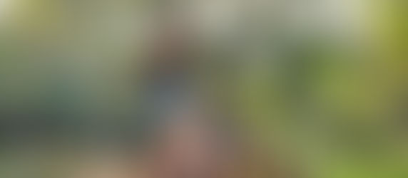 Top neighborhoods to explore in Amsterdam - Westerpark