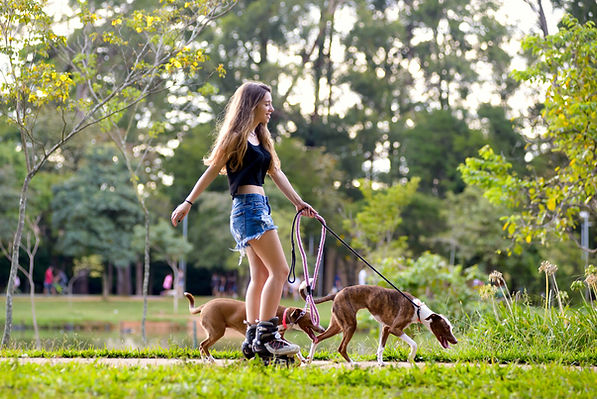 Rollerblader with Dogs