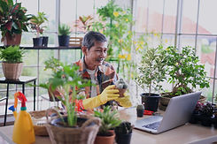 An old man livestreaming about how to grow cactus in pot