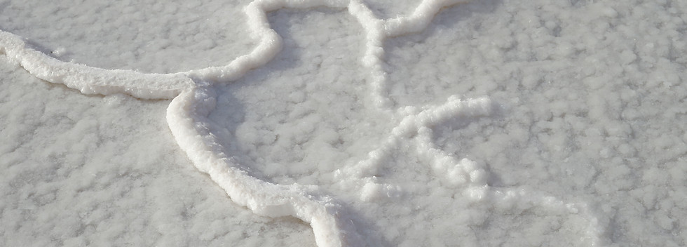 Sea Salt