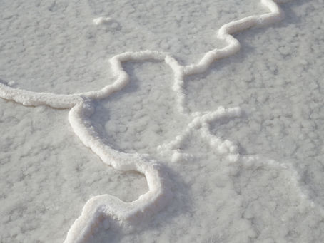 How to Fix a Salt-Damaged Lawn: Complete Recovery Guide
