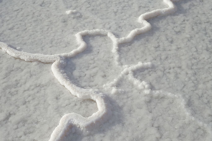 Salt Crust Patterns