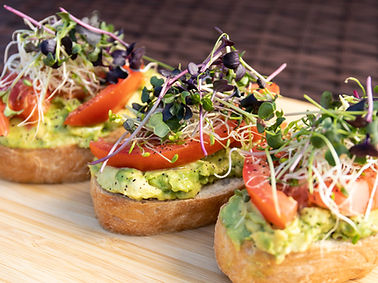 Avocado Sandwich