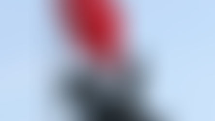 Learn Turkish Through History: The Modernization of the Language