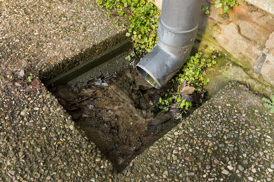 A pipe discharging water into a clogged drain
