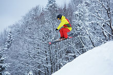 Professional Skier