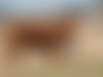 Livestock training offered