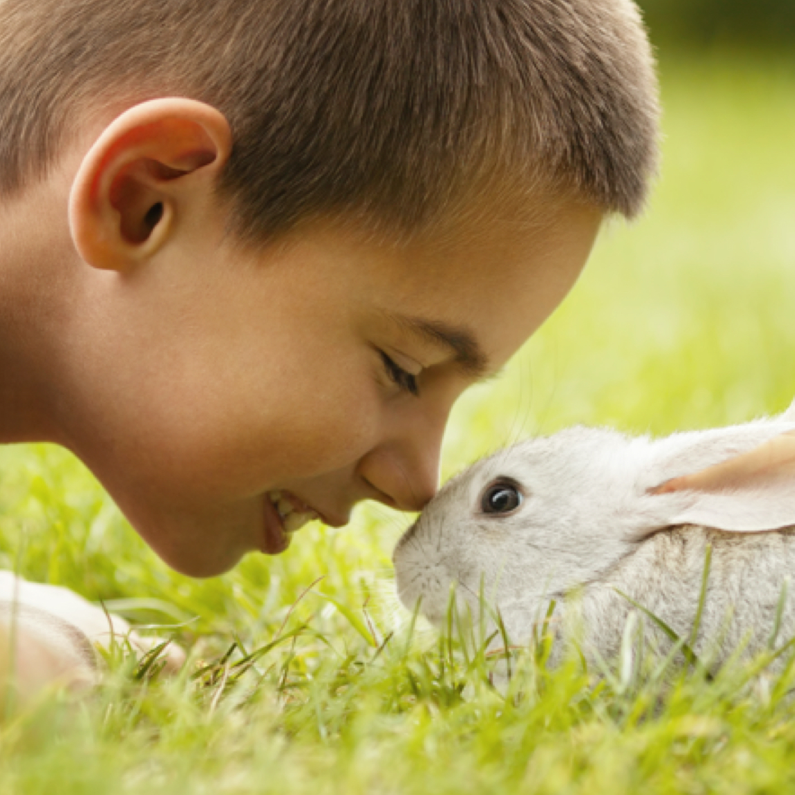 Boy and Rabbit