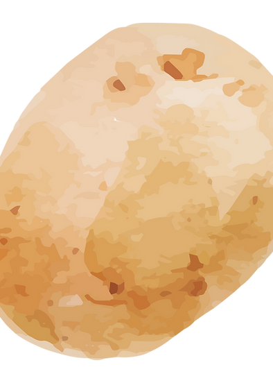 Potato Illustration
