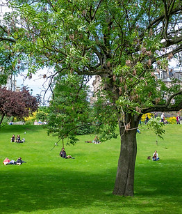 Bürgerpark Pankow