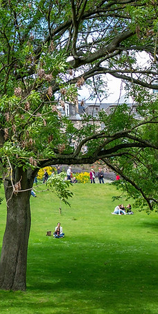 Public Park