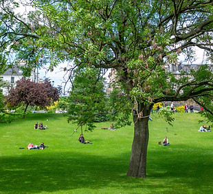 Public Park