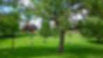 Public Park