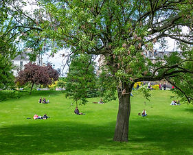 Public Park