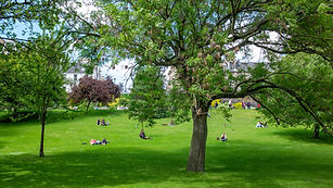 Public Park