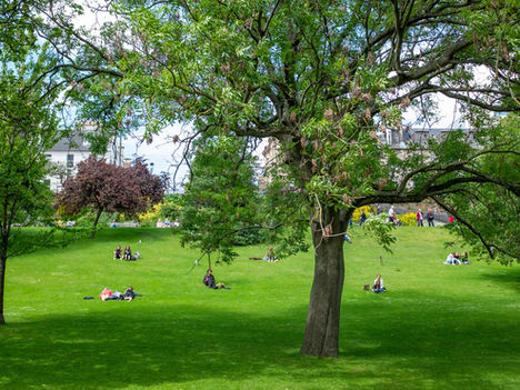 Il parco della Pace è realtÃ
