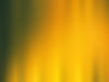 Yellow Curtain