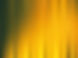 Yellow Curtain