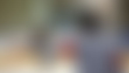 Le decisioni e le fonti di errori arbitrali