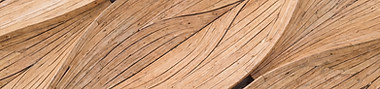 Patrón de hoja de madera