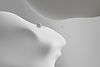 White Abstract Artwork