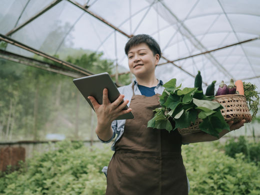 Why Traceability Isn’t a Trend—It’s the Future of Global Agri-Trade