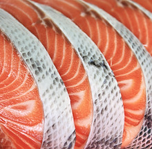 Fresh Salmon Slices