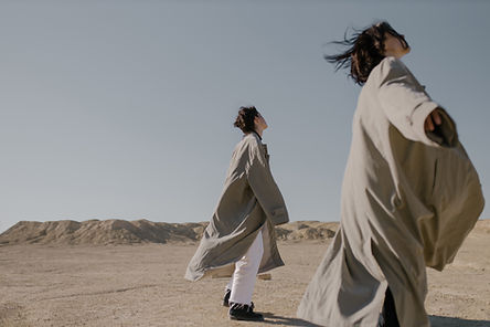 Desert Wind