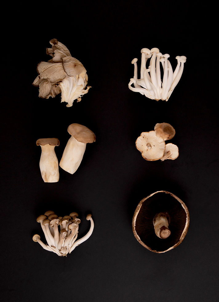 Variety of Mushrooms