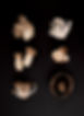 Types of Mushrooms
