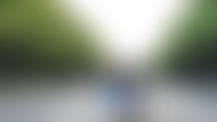 Como formalizar união estável: passo a passo no cartório	