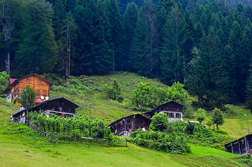 Ayder Plateau