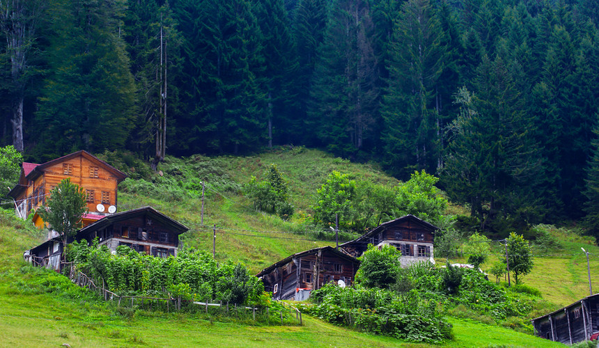 Mountain Cottages in Shimla