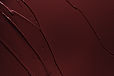 Dark Red Texture