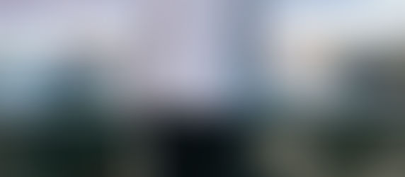 Les vétérinaires face à deux maux