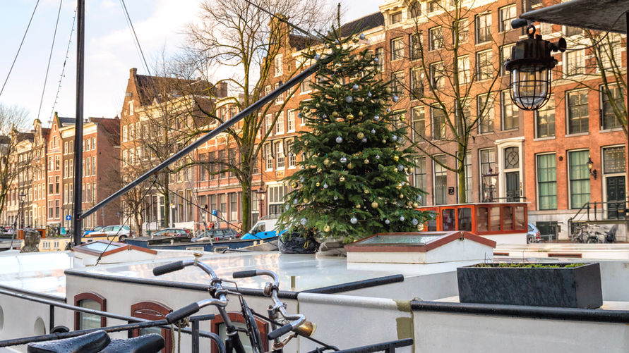 Kerstboom op boot