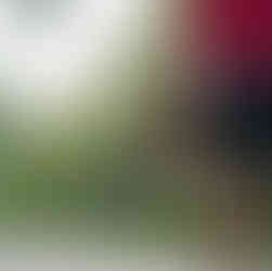 Knee Osteoarthritis and Exercise