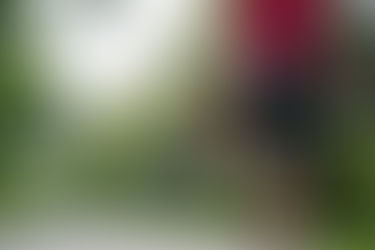 Bien s'échauffer avant de courir !!!