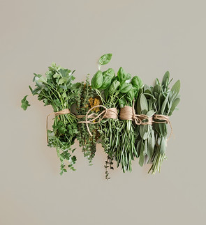 Bundles of Fresh Herbs