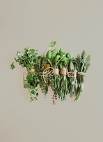 Bundles of Fresh Herbs