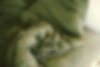 Green bedding close-up
