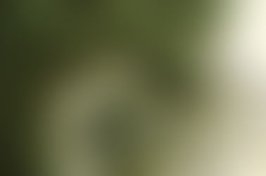 Goldilocks Pain Syndrome: The Struggle to Find “Just Right” Comfort in Inflammatory Arthritis