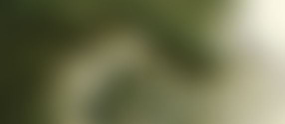 хипноза за заспиване