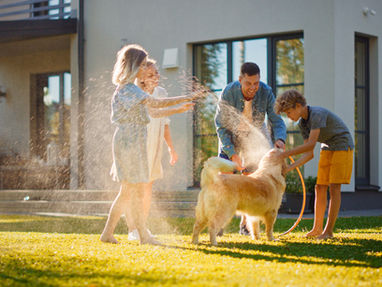 Familia bañando a su perro en el jardín para cuidar su higiene y bienestar.